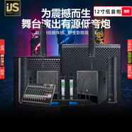 飛聲悅耳專(zhuān)業(yè)雙18英寸超重純低音炮酒吧戶(hù)外型舞臺演出大功率音響婚慶KTV （坦克）12寸低音炮