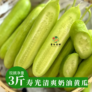 低卡壽光奶油黃瓜純天然即食水果白玉小青瓜清脆當(dāng)季農(nóng)家種減脂 凈重 3斤 商超級(jí)別 直接當(dāng)水果吃 有壞包賠