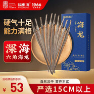 福東海 六角海龍10條 干貨大刁原材料煲湯食材 送禮盒泡酒藥材料組合