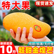 廣西金煌芒新鮮芒果10斤當季熱帶水果大青芒超大特大水仙芒果包郵 3斤 【果王】單果600g+丨不甜包賠