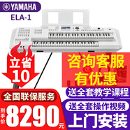 雅馬哈雙排鍵電子琴ELA-1成人兒童專業(yè)演奏家用電子管風琴教學考級鍵盤 ELA-1主機+【全套配件】