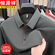 恒源祥（HYX）純棉男士長袖T恤春秋季新款翻領(lǐng)打底POLO衫寬松休閑男上衣打底衫 2501灰色 2XL 推薦150-165斤穿