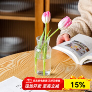 川島屋透明玻璃小花瓶擺件客廳插花干花水養(yǎng)網(wǎng)紅ins風玻璃瓶 玻璃花瓶(圓肚)