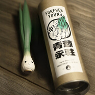 奧洛勛定制鹿妖商店 青蔥永駐 蔬菜精靈純手工木雕 實(shí)木桌面擺件 生日禮 1支青蔥+圓筒盒