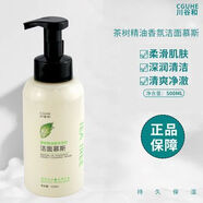 川谷和正品茶樹(shù)油香氛保濕潔面慕斯深層清潔乳收縮毛孔泡泡500ml 川谷和正品茶樹(shù)油香氛保濕潔面慕斯深層清潔乳收縮毛孔