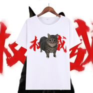 斯榆香蕉貓短袖拳頭小貓表情包t恤誰(shuí)給我饅頭誰(shuí)給我拳頭我記得 11 165 S 60-75斤