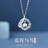 春淺藍(lán)桉與鳥S925銀項(xiàng)鏈女生生日禮物實(shí)用送女友老婆女士鎖骨鏈銀飾品