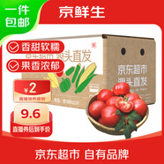 京鮮生 山東海陽(yáng)普羅旺斯西紅柿 凈重3斤 單果125g起 沙瓢番茄 源頭直發(fā)