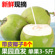 甘果有約海南椰青 新鮮椰子文昌帶皮青椰子雞孕婦補(bǔ)羊水椰子椰青孕婦水果 8個(gè)帶皮老嫩隨機(jī)發(fā)（水少肉厚）
