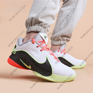 NIKELBJ詹姆斯22 白色 實(shí)戰(zhàn)籃球鞋F(xiàn)Z1095-101 FZ1095-101白色 43