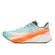 匹克匹克態(tài)極6.0跑鞋7.0夏新款減震運動(dòng)鞋男訓練競速網(wǎng)布跑步鞋女鞋 ET52627H-7.0pro 水晶藍/熒光橙 42