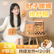 萱草卡皮巴拉曖寶寶貼暖貼30片發(fā)熱敷貼冬季保宮暖手暖腰腹暖身熱帖