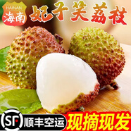 海南妃子笑荔枝新鮮5斤裝應(yīng)季水果當(dāng)季整箱王桂花10大香冷凍 2斤 精選特大果