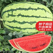 大禹懶漢西瓜種子苗特大適合南方早熟懶人8424麒麟瓜美都無籽水果蔬菜 京抗100雜交西瓜種子 5g 多汁
