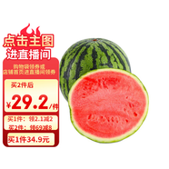 京鮮生 無籽麒麟大西瓜 1粒裝 7-9斤 生鮮水果