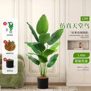 寧雪兒仿真發(fā)財(cái)樹盆栽室內(nèi)仿真花假花客廳落地裝飾綠植假樹樹塑料樹植物 12桿 仿真天堂鳥1.55M 含配草