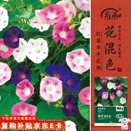 壽禾 牽?；ǚN子苗陽(yáng)臺(tái)爬藤盆栽花卉種籽 壽藝爬藤牽?；ǚN子約3000粒