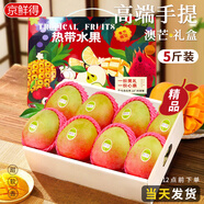 京地達(dá)海南澳芒果禮盒 凈重5斤單果500g 大芒果新鮮應(yīng)季當(dāng)季源頭直發(fā)