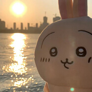 益強(qiáng)日本chiikawa烏薩奇小八吉伊卡哇呆萌公仔玩偶生日禮物玩具 呆萌烏薩奇 約71.99厘米【含耳朵】特級大抱枕