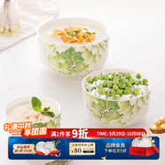 華光國瓷 抗菌骨瓷保鮮碗三件套 保鮮盒釉中彩 一人食泡面碗飯盒帶蓋 春色滿(mǎn)園