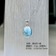 朵洛蔓天然海紋石吊墜女水滴鑲嵌S925銀多米尼加拉利瑪藍色水晶珠子項鏈 13.旦形-收藏級