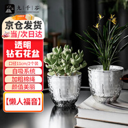 九千谷花盆塑料透明懶人自吸水盆水培水養(yǎng)植物免澆水儲水盆口徑11cm6025