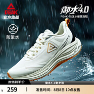 匹克態(tài)極御水4.0跑步鞋男鞋秋季新品防潑水通勤緩震休閑鞋防滑運動鞋 帆布白色/黑色【男款】 39