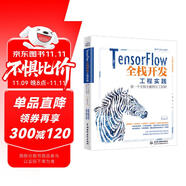 TensorFlow全棧開(kāi)發(fā)工程實(shí)踐——做一個(gè)全智全能算法工程師 tensorflow2.0人工智能AI ChatGPT底層技術(shù)深度學(xué)習(xí)Python神經(jīng)網(wǎng)絡(luò)目標(biāo)檢測(cè)算法工程師 deepseek教程