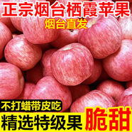 【煙臺(tái)蘋果】棲霞富士蘋果脆甜冰糖心應(yīng)季新鮮水果批發(fā)一整箱 煙臺(tái)蘋果【煙臺(tái)直發(fā)】 帶箱9.6-10斤大果【80-85mm】商超