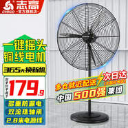 志高（CHIGO）工業(yè)風(fēng)扇落地扇大風(fēng)力強力牛角扇大功率商用吹除甲醛工廠(chǎng)車(chē)間立式搖頭落地風(fēng)扇 650mm(塑鋼葉)銅線(xiàn) 升級一鍵搖頭