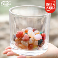 壽禾 水培玻璃瓶加厚水培客廳綠植擺件水養(yǎng)花瓶 12*12圓柱水培玻璃瓶