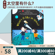 Usborne What's it Like in Space 太空有什么 英文原版 紙板翻翻書 你問我答  Lft The Flap First Questions and Answers 綠山墻 
