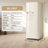 西門(mén)子復古家用小型冰箱迷你網(wǎng)紅高顏值雙門(mén)小戶(hù)型一級靜音節能冷藏冷凍 [255單門(mén)]新款芝士奶白一級變頻