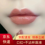 蘭奕（LANYI）口紅不掉色不沾杯肉桂奶茶色防水素顏顯白裸色滋潤(rùn)口紅 606#肉桂奶茶色_防水不掉色