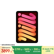 Apple/蘋果 iPad mini (A17 Pro) 8.3英寸 平板電腦(256G eSIM版/mini7/MXQ63CH/A)星光色
