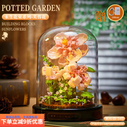 脘錸兼容積木顆粒永生花便宜永生花束畢業(yè)送人禮品節(jié)日兒童節(jié)禮物 手工拼裝 芙蓉花+氛圍燈透明罩子