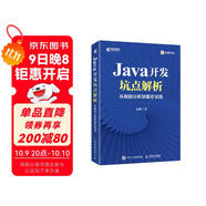 Java開(kāi)發(fā)坑點(diǎn)解析：從根因分析到最佳實(shí)踐（異步圖書(shū)出品）