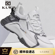 KLWP香港正品男鞋春季新款真皮透氣網(wǎng)面休閑百搭運(yùn)動(dòng)男潮流老爹鞋男鞋 白灰色[正品男鞋] 41