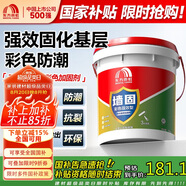 雨虹防水 墻固彩色防潮型墻面加固劑混凝土膩子粉通用界面劑18kg
