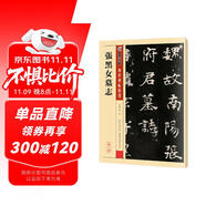 墨點字帖 張黑女墓志 北魏毛筆字帖毛筆書法練字傳世碑帖精選