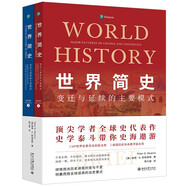 世界簡(jiǎn)史：變遷與延續的主要模式（第8版）頂尖學(xué)者全球史代表作 人類(lèi)簡(jiǎn)史文明的歷程全球史