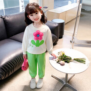 Radinka2025春秋新款女童衛(wèi)衣褲套裝洋氣兒童衛(wèi)衣女寶寶運(yùn)動(dòng)兩件套LYF 636上衣+綠褲子 100 (建議90-100cm)