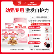 皇家貓糧?幼貓貓糧?干濕搭配?K36 4.5kg+啫喱肉凍KJP 85G*3