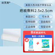 絲芙美 進(jìn)口疤痕敷料醫用硅酮凝膠祛疤膏剖腹產(chǎn)雙眼皮術(shù)后修復2.5*2.5cm