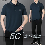 中年男爸爸夏裝冰絲短袖t恤中老年男子休閑運(yùn)動(dòng)服男士夏裝 哈青 L (建議100-120斤左右)