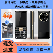 譽(yù)國威大電池手機超長(cháng)待機震動(dòng)模式FM收音機功能親情號碼可一鍵快速呼叫 黑色 全網(wǎng)通4G版本【移動(dòng)聯(lián)通電信廣電】 標準套餐【1電1充1皮套1主機】