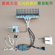 蒸爐整套火排燃燒器商用腸粉爐打火總成電磁閥點(diǎn)火盒配件 新派天寶蒸爐整套配件配白色電
