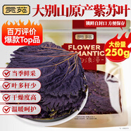 貢苑紫蘇葉250g 紫蘇葉茶干紫蘇中藥原材料紫蘇籽泡茶 魚(yú)肉蝦去腥伴侶
