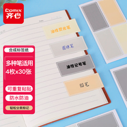 齊心（COMIX）自粘式彩色標簽貼紙便利貼姓名貼 30*62mm 120枚 EC605配