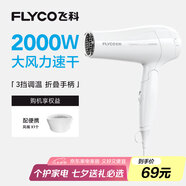 飛科（FLYCO）電吹風(fēng)機家用發(fā)廊大功率2000W速干恒溫便攜可折疊白色FH6232